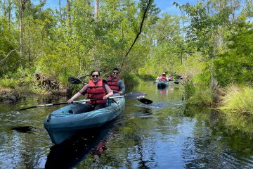 Kayak Tours in Alligator River, NC | Outer Banks Kayak Adventures