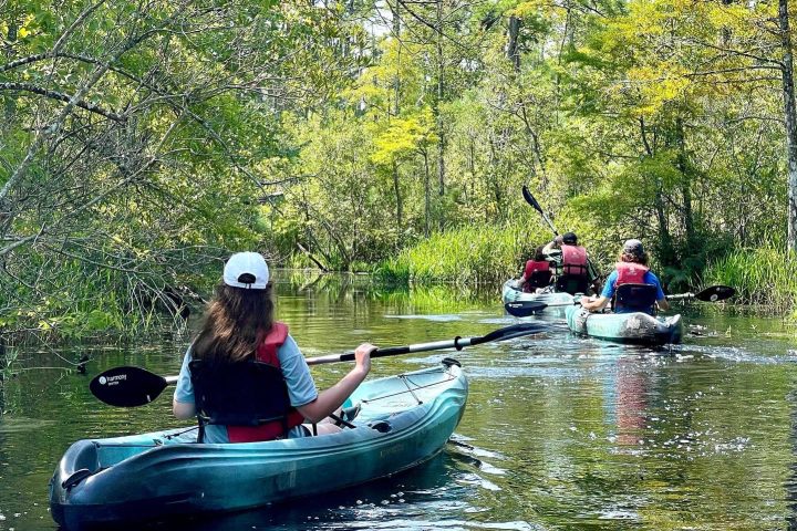 a dog riding on the back of a boat in the water
