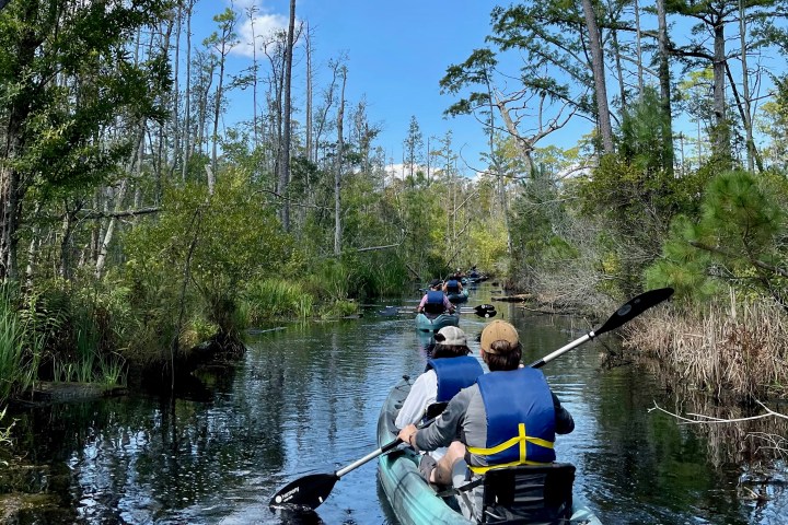a man riding on the back of a boat next to a river