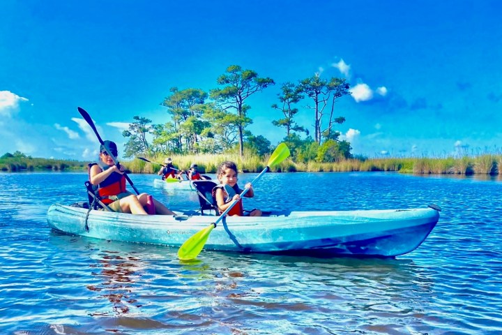 People kayaking on a calm lake surrounded by trees under a clear blue sky.